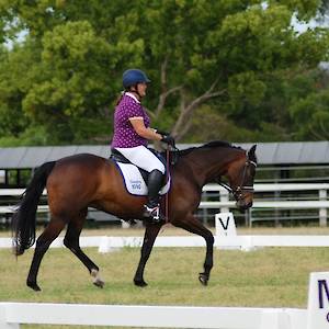 2019 October Dressage Training Competition