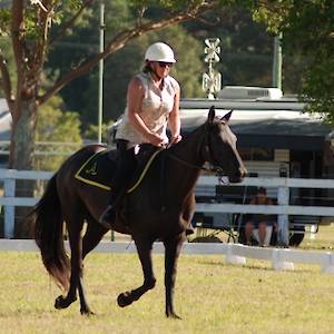 2019 February Dressage Training Competition